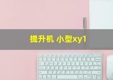 提升机 小型xy1